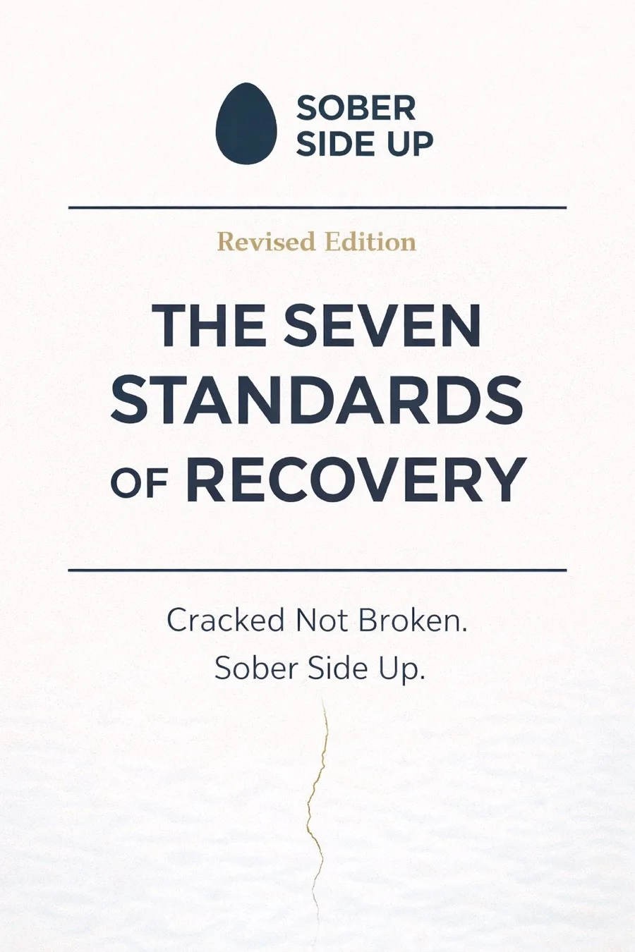 Seven Standards of Recovery cover art